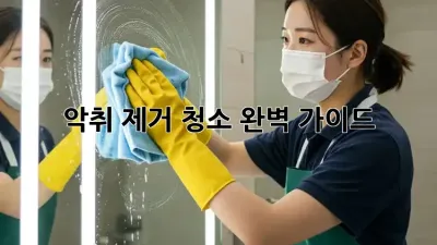 악취 제거 청소 완벽 가이드
