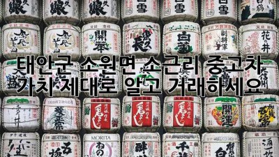 태안군 소원면 소근리 중고차 가치, 제대로 알고 거래하세요!